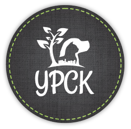 ypck-logo